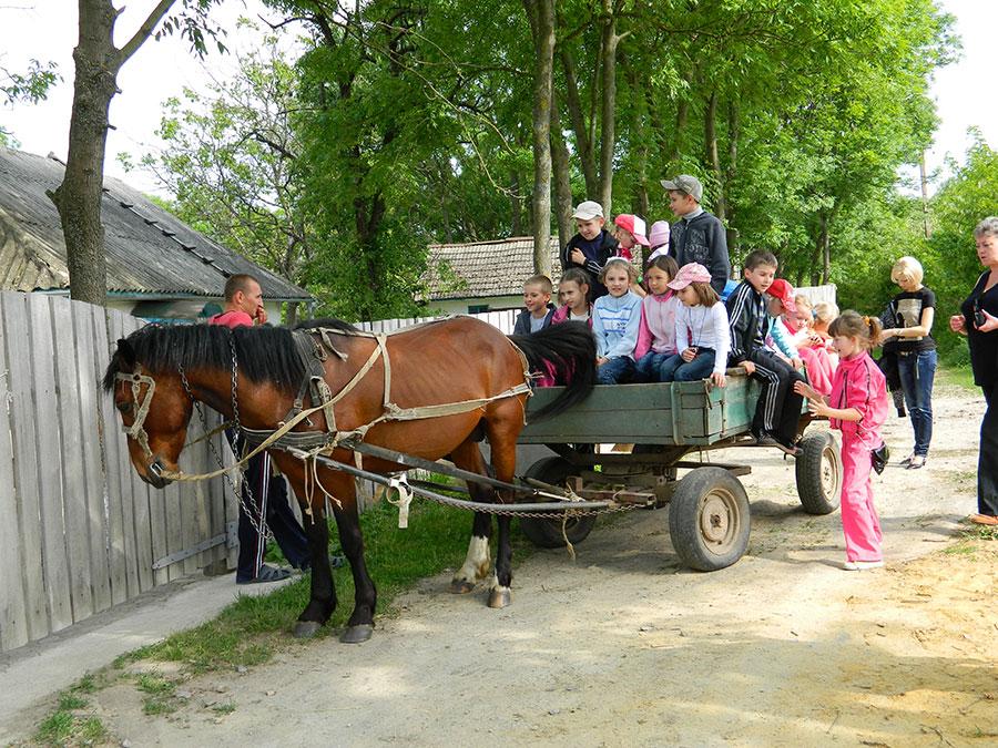 відпочинок в селі